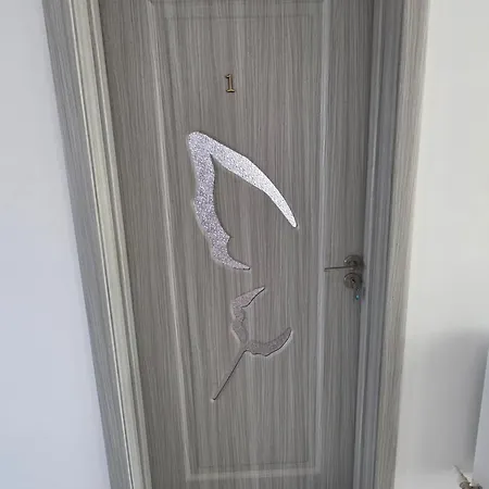 Tatil Evi Ionela